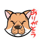シバいぬぬ（個別スタンプ：5）
