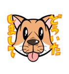 シバいぬぬ（個別スタンプ：6）
