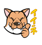 シバいぬぬ（個別スタンプ：8）