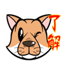 シバいぬぬ（個別スタンプ：9）