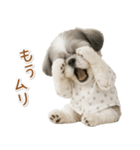 ネガティブな癒しシーズー（個別スタンプ：3）
