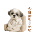 ネガティブな癒しシーズー（個別スタンプ：4）