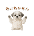 ネガティブな癒しシーズー（個別スタンプ：7）