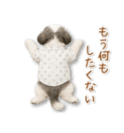 ネガティブな癒しシーズー（個別スタンプ：12）