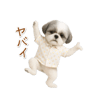 ネガティブな癒しシーズー（個別スタンプ：13）