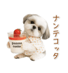 ネガティブな癒しシーズー（個別スタンプ：15）