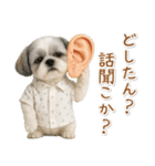 ネガティブな癒しシーズー（個別スタンプ：16）
