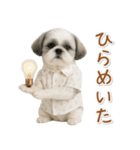 ネガティブな癒しシーズー（個別スタンプ：17）