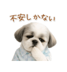 ネガティブな癒しシーズー（個別スタンプ：24）
