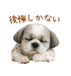 ネガティブな癒しシーズー（個別スタンプ：27）