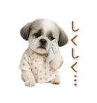 ネガティブな癒しシーズー（個別スタンプ：28）