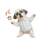 ネガティブな癒しシーズー（個別スタンプ：29）