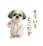ネガティブな癒しシーズー（個別スタンプ：30）