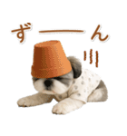 ネガティブな癒しシーズー（個別スタンプ：31）