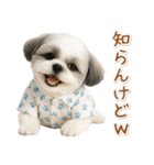 ネガティブな癒しシーズー（個別スタンプ：34）