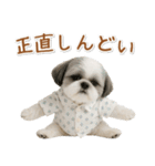 ネガティブな癒しシーズー（個別スタンプ：35）