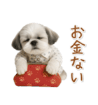 ネガティブな癒しシーズー（個別スタンプ：36）