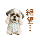 ネガティブな癒しシーズー（個別スタンプ：37）