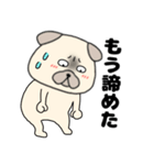 ネガティブなパグ犬のぱーちゃん87（個別スタンプ：10）