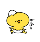 まいにちひよっこダイエット（個別スタンプ：18）