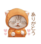 スコティッシュ猫 みかん服 ネガティブ（個別スタンプ：5）