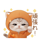 スコティッシュ猫 みかん服 ネガティブ（個別スタンプ：8）