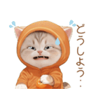 スコティッシュ猫 みかん服 ネガティブ（個別スタンプ：10）