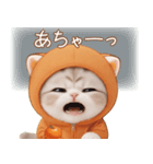 スコティッシュ猫 みかん服 ネガティブ（個別スタンプ：11）