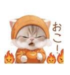 スコティッシュ猫 みかん服 ネガティブ（個別スタンプ：17）