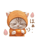 スコティッシュ猫 みかん服 ネガティブ（個別スタンプ：21）