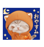 スコティッシュ猫 みかん服 ネガティブ（個別スタンプ：24）