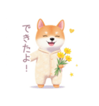 素朴なパジャマの柴犬スタンプ（個別スタンプ：10）