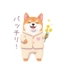 素朴なパジャマの柴犬スタンプ（個別スタンプ：18）