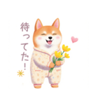 素朴なパジャマの柴犬スタンプ（個別スタンプ：37）