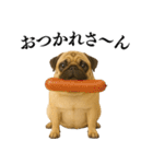【関西弁】毎日使えるリアルなパグ（個別スタンプ：6）