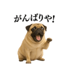【関西弁】毎日使えるリアルなパグ（個別スタンプ：11）