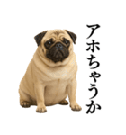【関西弁】毎日使えるリアルなパグ（個別スタンプ：20）