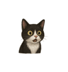 タキシード猫1222（個別スタンプ：9）