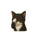 タキシード猫1222（個別スタンプ：14）