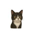 タキシード猫1222（個別スタンプ：15）