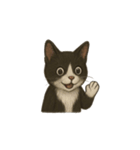 タキシード猫1222（個別スタンプ：21）