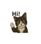 タキシード猫1222（個別スタンプ：25）