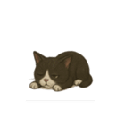 タキシード猫1222（個別スタンプ：33）