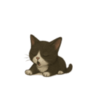 タキシード猫1222（個別スタンプ：34）