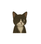 タキシード猫1222（個別スタンプ：35）