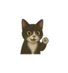 タキシード猫1222（個別スタンプ：36）