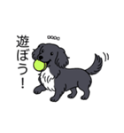 名前入りダックスロングブラックホワイト（個別スタンプ：1）