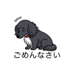 名前入りダックスロングブラックホワイト（個別スタンプ：2）