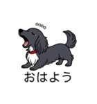 名前入りダックスロングブラックホワイト（個別スタンプ：3）