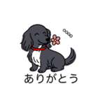 名前入りダックスロングブラックホワイト（個別スタンプ：5）